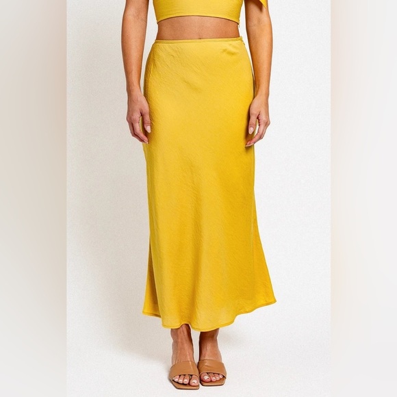 NWT-V-Neck back Tie Crop Top & Bias Maxi Skirt Set - Picture 5 of 10